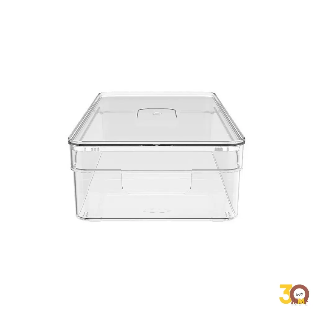 Organizador Clear Com Tampa 30 X 15 X 7Cm Natural Oc250