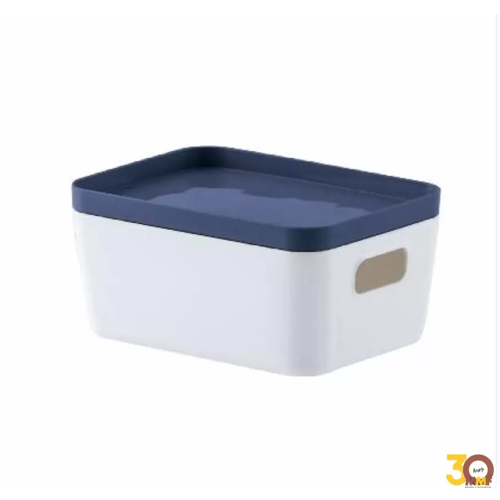 Cesto Organizador Com Tampa Idealle 41 X 32 X 17Cm