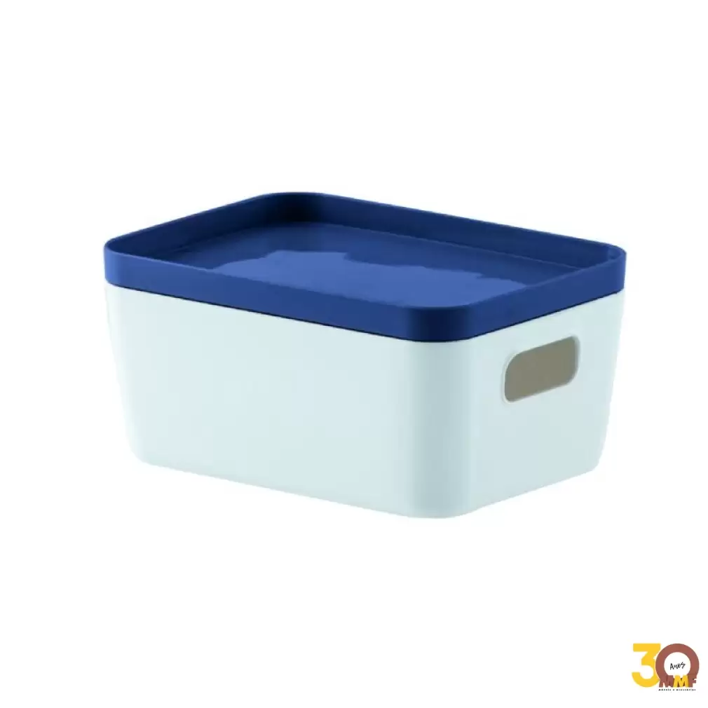 Cesto Organizador Com Tampa Idealle 41 X 32 X 17Cm