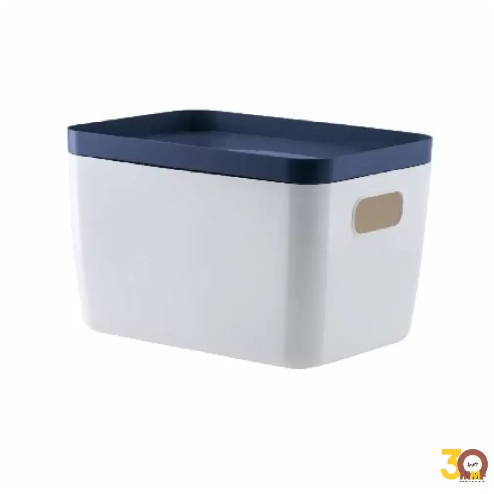 Cesto Organizador Com Tampa Idealle 41 X 32 X 25Cm