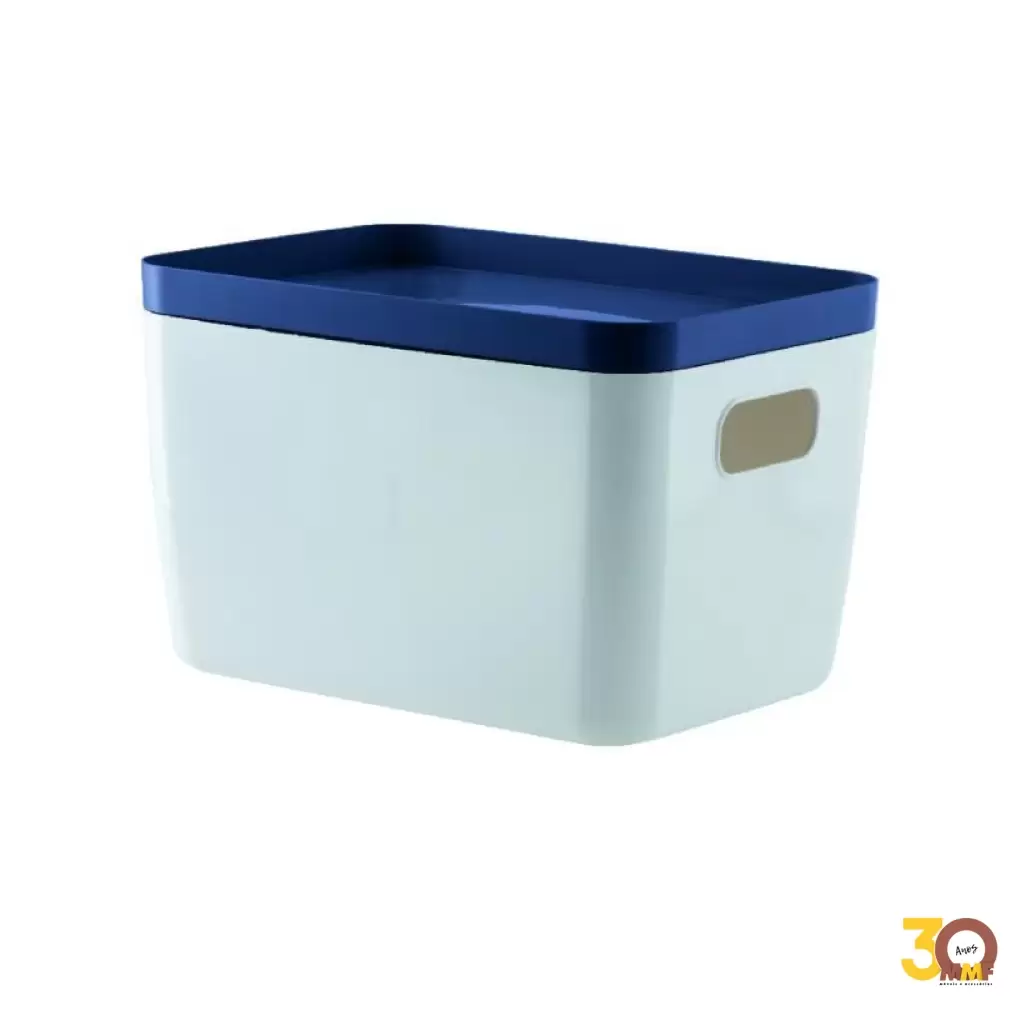 Cesto Organizador Com Tampa Idealle 41 X 32 X 25Cm